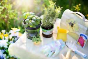 Troc jardin