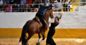 Spectacle hispano-landais