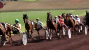 Courses hippiques