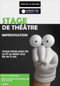 photo Stage de théâtre pour adultes