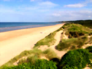 photo Découverte de la faune et de la flore du site d'Omaha Beach.
