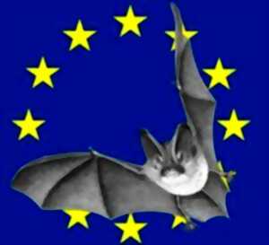 photo Nuit Internationnale de la Chauve-souris