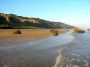 photo Sur les hauteurs des falaises des Vaches noires