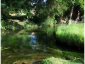photo Découverte de la faune aquatique de la source de l'Orbiquet