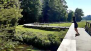 photo Les oiseaux du marais de la vallée de l’Aure