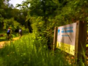 Promenade sensorielle au bois du Breuil