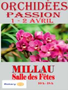Salon des orchidées