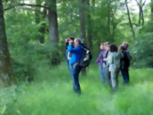 Sortie nature 