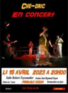 photo Ché-dric en concert