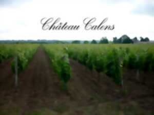Dégustation des nouveaux millésimes au château Calens