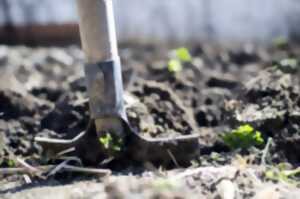 Atelier jardin avec les Ateliers de la Simplicité