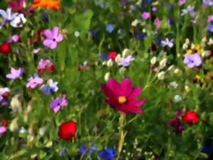 Vivons la nature en famille