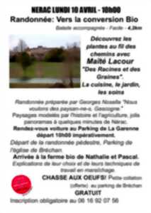 Randonnée : vers la conversion BIO