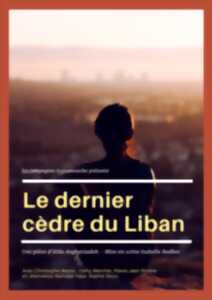 Le dernier cèdre du Liban