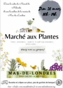 MARCHÉ AUX PLANTES