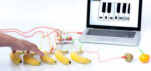 Création d'un Orchestre Végétal  made in FabLab