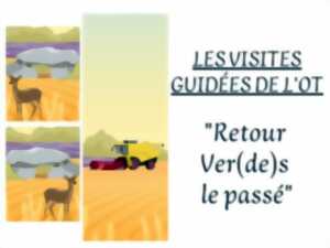 Retour Ver(de)s le passé!