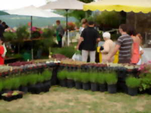 Marché aux fleurs