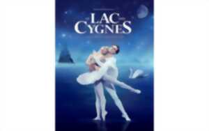 Spectacle: Le lac des Cygnes