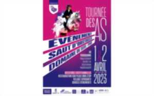 Saut d'obstacles - Tournée des As