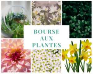 photo Bourse aux plantes : au jardin des Orthenses