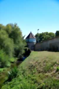 Promenades dans Pont-sur-Seine