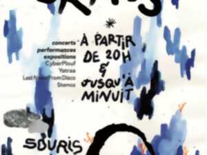 SOIREE EMBRASSE: ÉCOLE SUPÉRIEURE D'ART DE LORRAINE PÔLE ARTS PLASTIQUES ÉPINAL