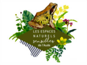 ENS - CONSTELLATIONS ET GRENOUILLES : COCKTAIL DE PRINTEMPS