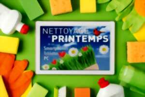 photo Cyber nettoyage de printemps