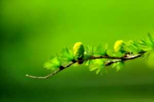 Sortie Nature : Le Fontou