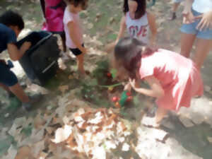 UTILISONS LES RESSOURCES NATURELLES POUR CULTIVER !
