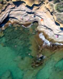 VOLCANISME : TOUT SAVOIR SUR LES FALAISES VOLCANIQUES DU CAP D'AGDE !