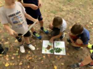 photo Balade nature en famille