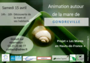 Animation autour de la mare de Gondreville