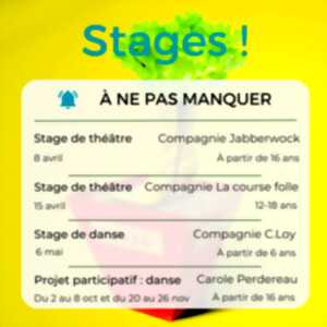 photo Stage de théâtre – Compagnie La course folle