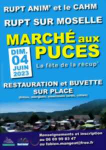 photo Marché aux puces