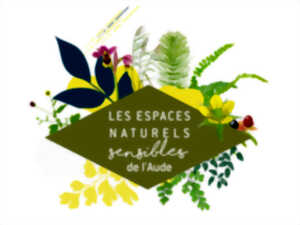 ENS - EN MARAUDE SUR LE CANAL DU MIDI