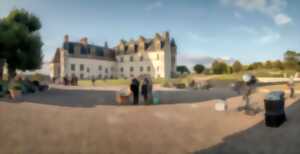 Pique-niques astronomiques au Château Royal d'Amboise