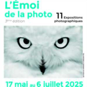 photo Expositions photographiques : L'émoi de la photo