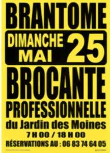 photo Brocante professionnelle