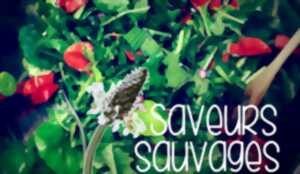 photo BALADE CUEILLETTE : SAVEURS SAUVAGES !