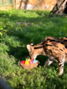 photo Touroparc fête Pâques !