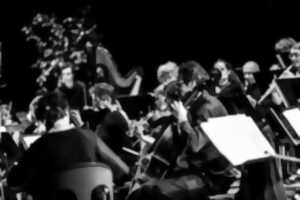 Concert