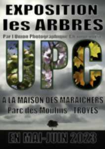 Exposition photo : les arbres