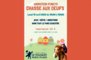 photo Chasse aux oeufs - animation poneys