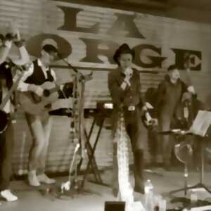 Dixie Train - Bluegrass Band