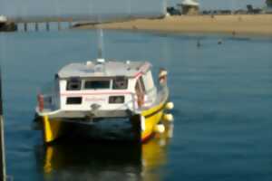 photo UBA Tour de l'île aux oiseaux - escale Arcachon