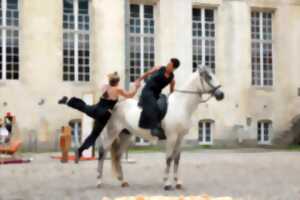 Un Air de Rencontre - Equine Situ - Solenn Heinrich