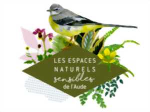 ENS - AU-DESSUS DE NOS TÊTES, LES ARBRES, SOUS NOS PIEDS, L'HISTOIRE