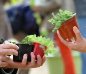 Vide-greniers, troc plantes et graines